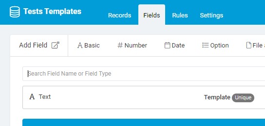 4a_Test Templates Fields